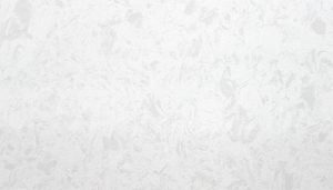 SNOW FLAKE